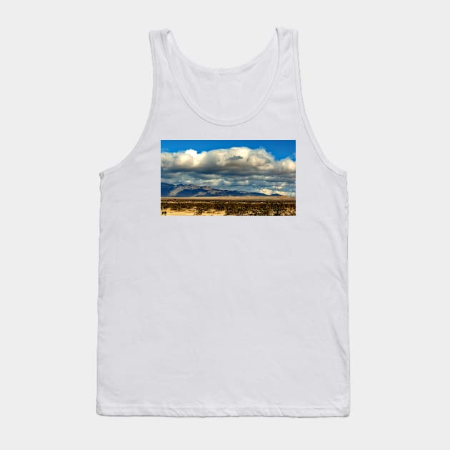 Anza Borrego Desert State Park Tank Top by supernova23